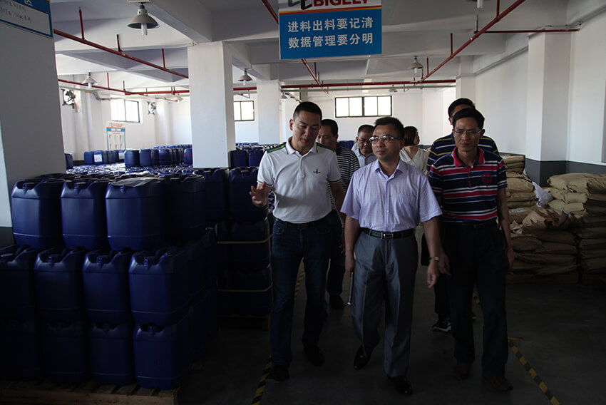 The leaders of Guangdong Science and Technology Association visited Bigely to inspect and sympathize with front-line scientific and technological innovation workers